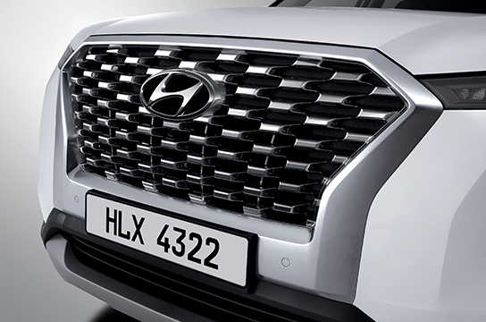 Palisade light reflective chrome radiator grille